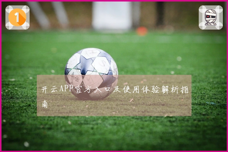 开云APP官方入口及使用体验解析指南